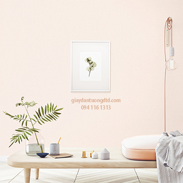 giấy dán tường stay mẫu trơn