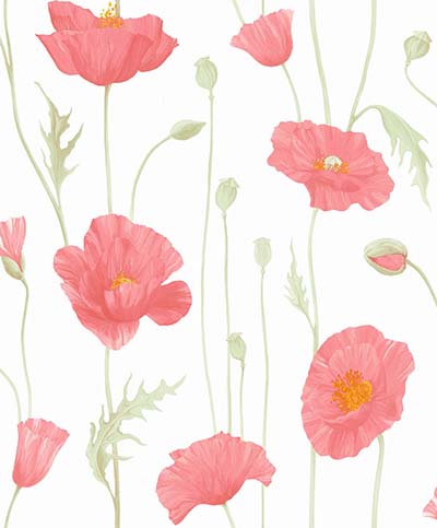 giấy dán tường honos mã 51012-1